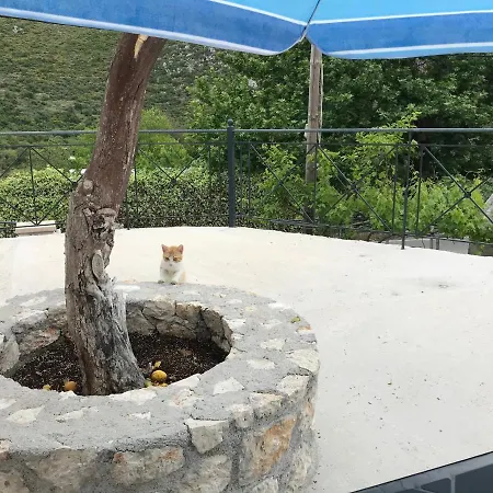 Eugenies Vakantiehuis *